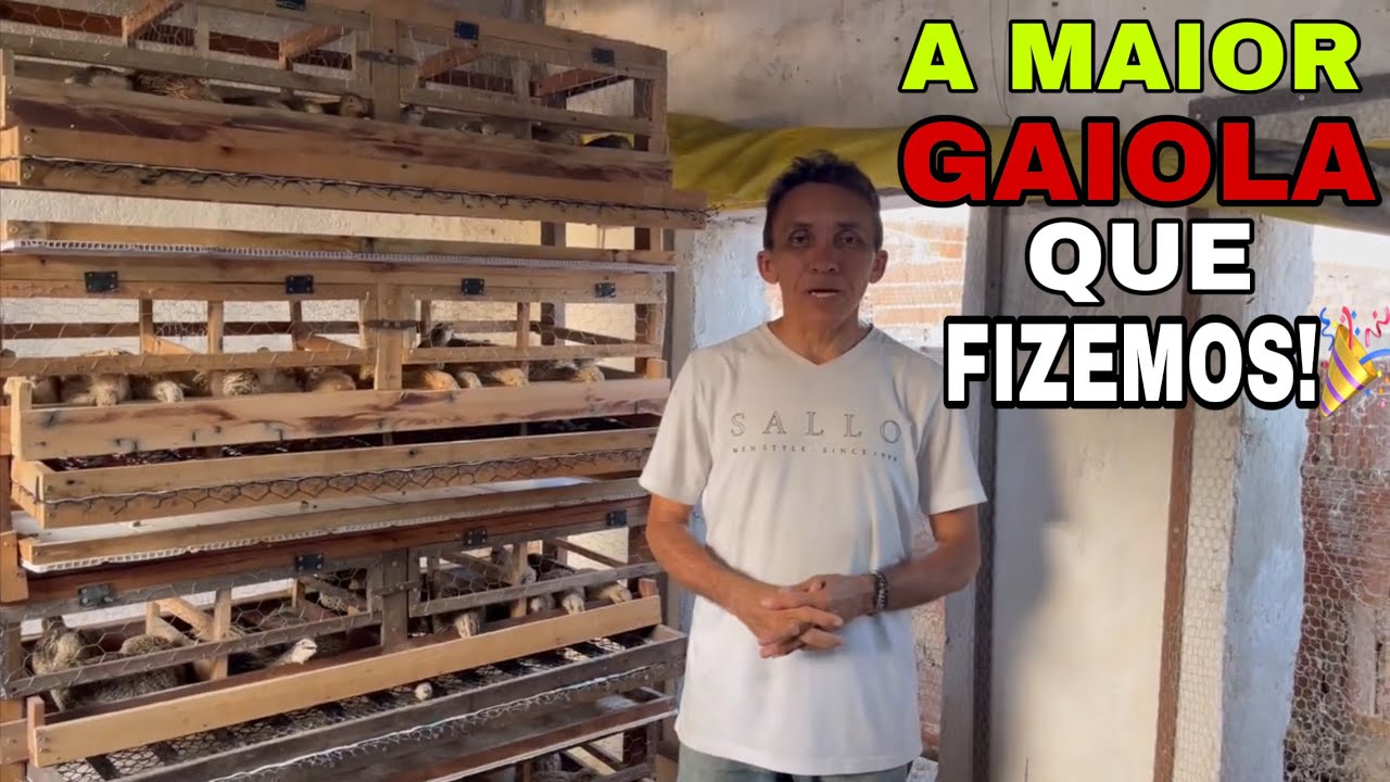 COMO FAZER  GAIOLAS PARA CODORNAS?! PARTE 2/Passando as Medidas/ Colocando as Codornas
