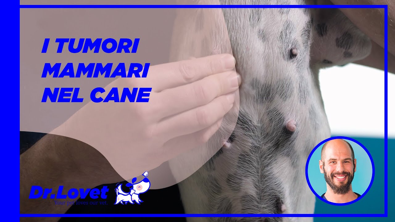 Il Tumore mammario (