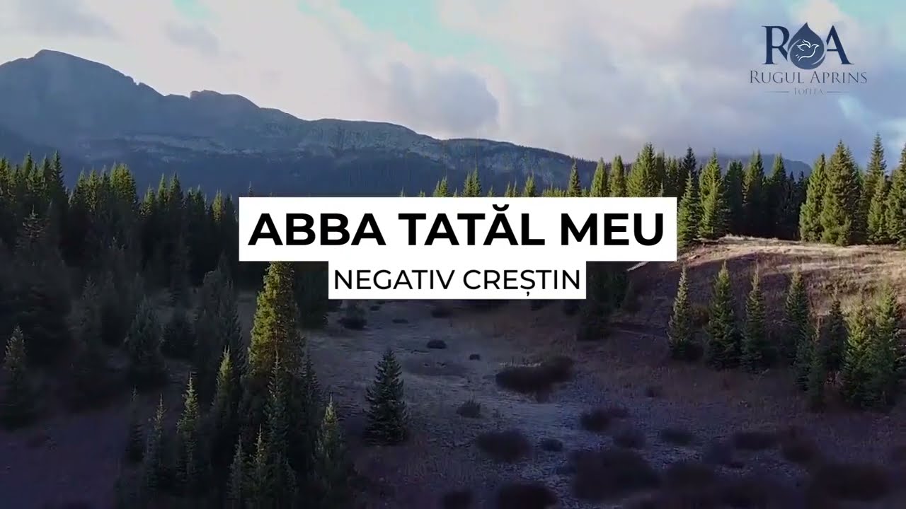 ABBA TATAL MEU | NEGATIV RUGUL APRINS
