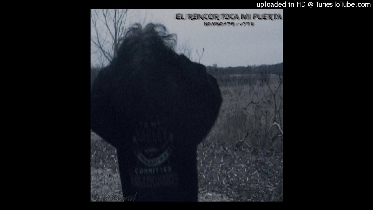 snakesoul - el rencor toca mi puerta