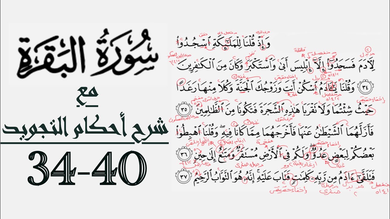 كيف تقرأ سورة البقرة مع شرح أحكام التجويد| ٣٤-٤٠