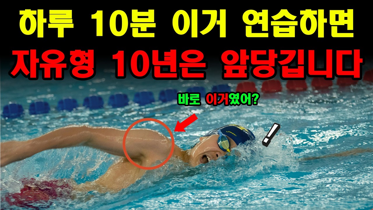 수영을 잘하는 5가지 비법 자유형 1번 배워두면 10년은 써먹습니다