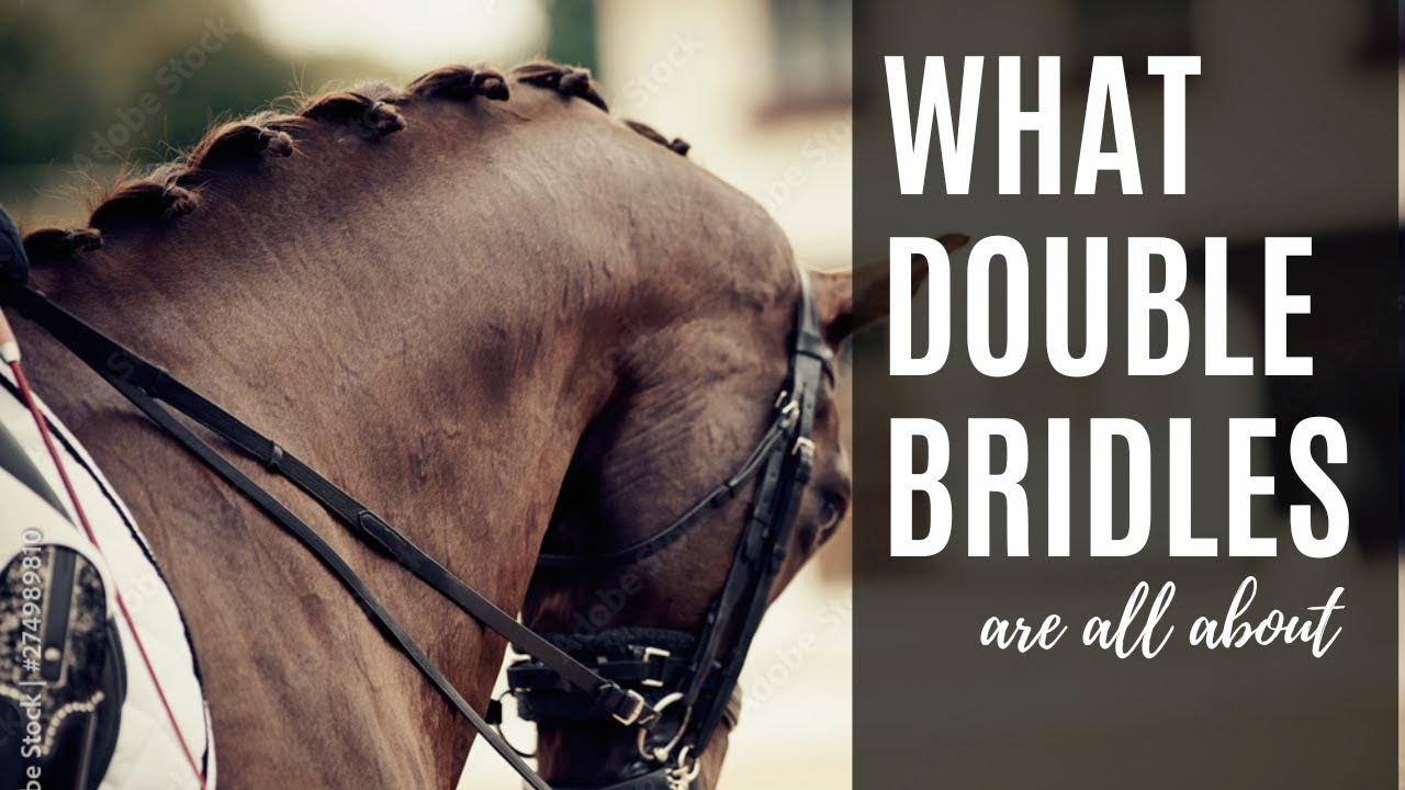 What Double Bridles Are | Equestrian Education