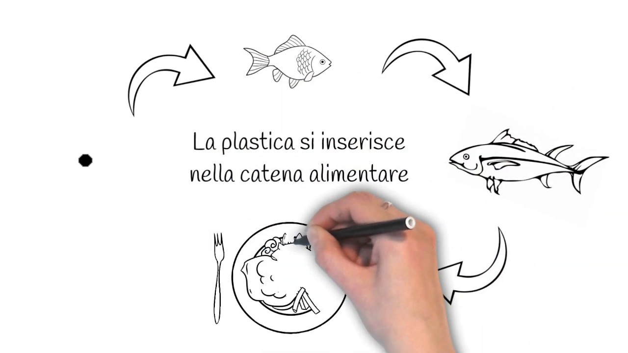 LE MICROPLASTICHE... in 2 minuti