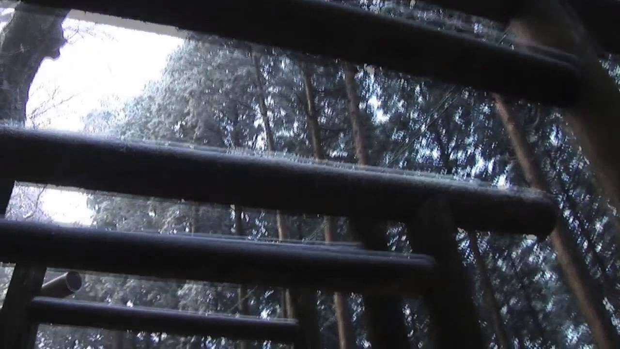 [美しき日本] 奈良　野迫川村　荒神社