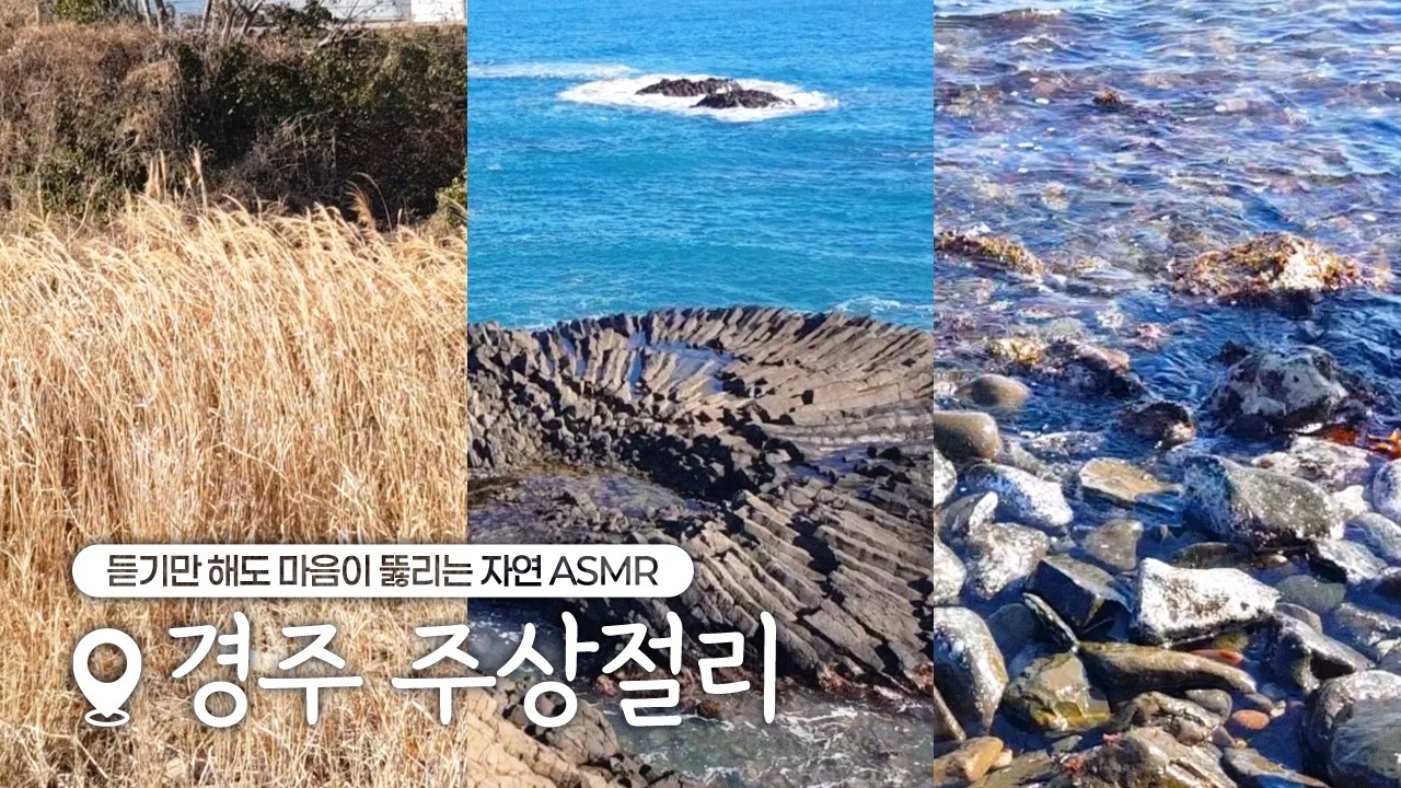 [경주의 소리] 듣기만 해도 마음이 뚫리는 경주 바다 주상절리 ASMRㅣ바다를 담다편