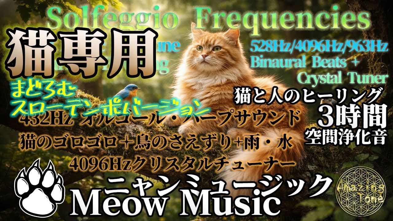 【猫専用・スローテンポ】 ゴロゴロ音と魔法の周波数 528Hz＋4096Hz｜まどろみの安眠BGM。空間浄化と意識の書き換え（ニャンミュージック）　Amazing Tone