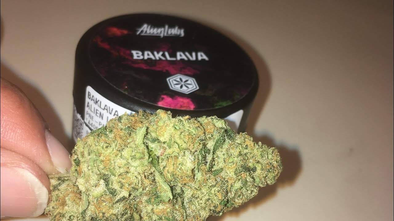 Strain review alien labs baklava hollister ca dispensary