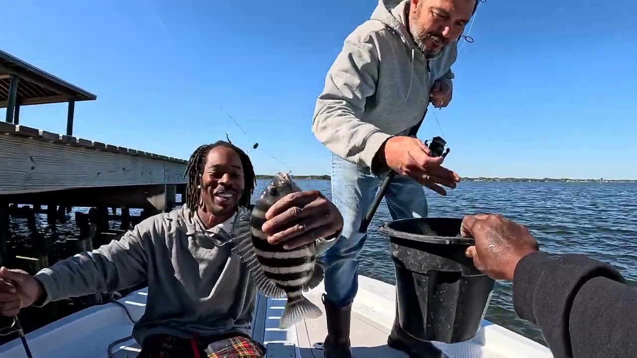 ловля морского окуня