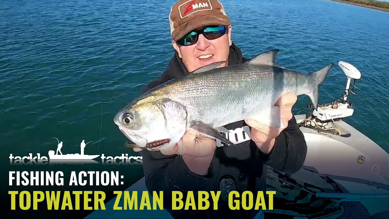ZMan 3