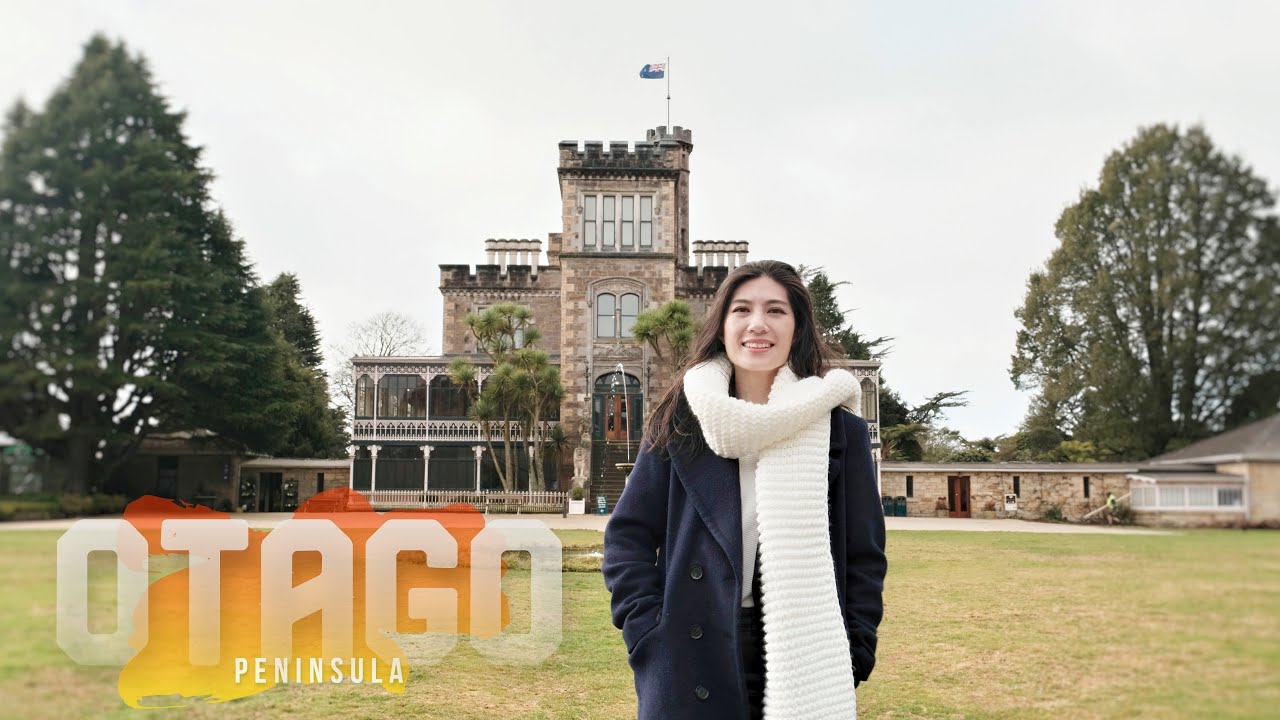NZ's Only Castle + Sea Lions at Sandfly Bay | DUNEDIN (Otago Peninsula)