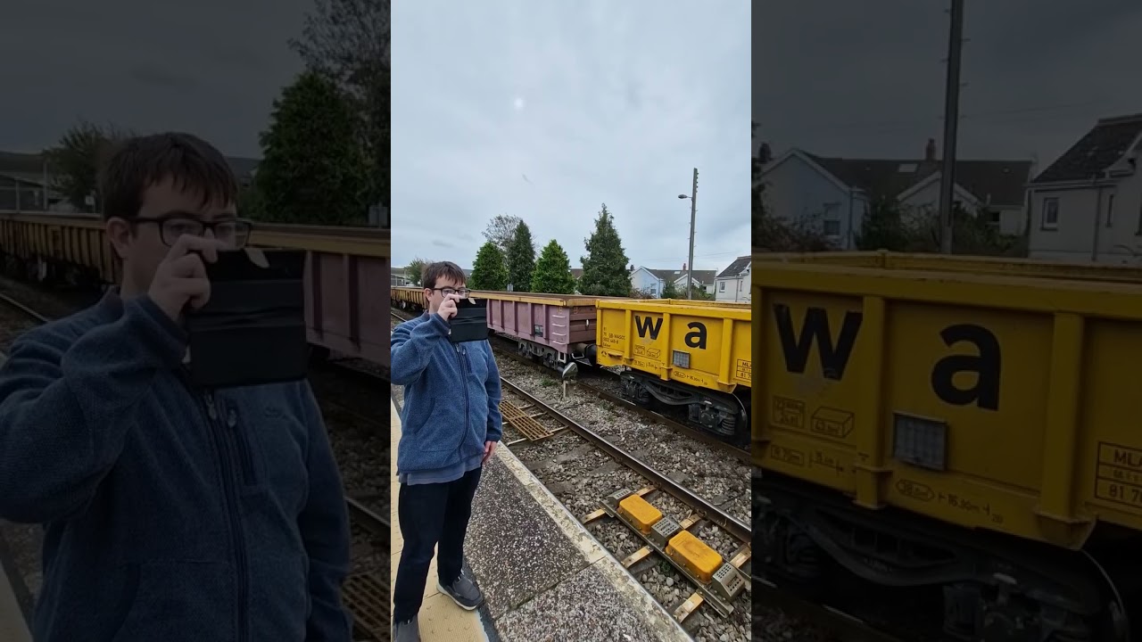 6Y56 0619 HINKSEY SDGS TO LLANELLI CLASS 66604