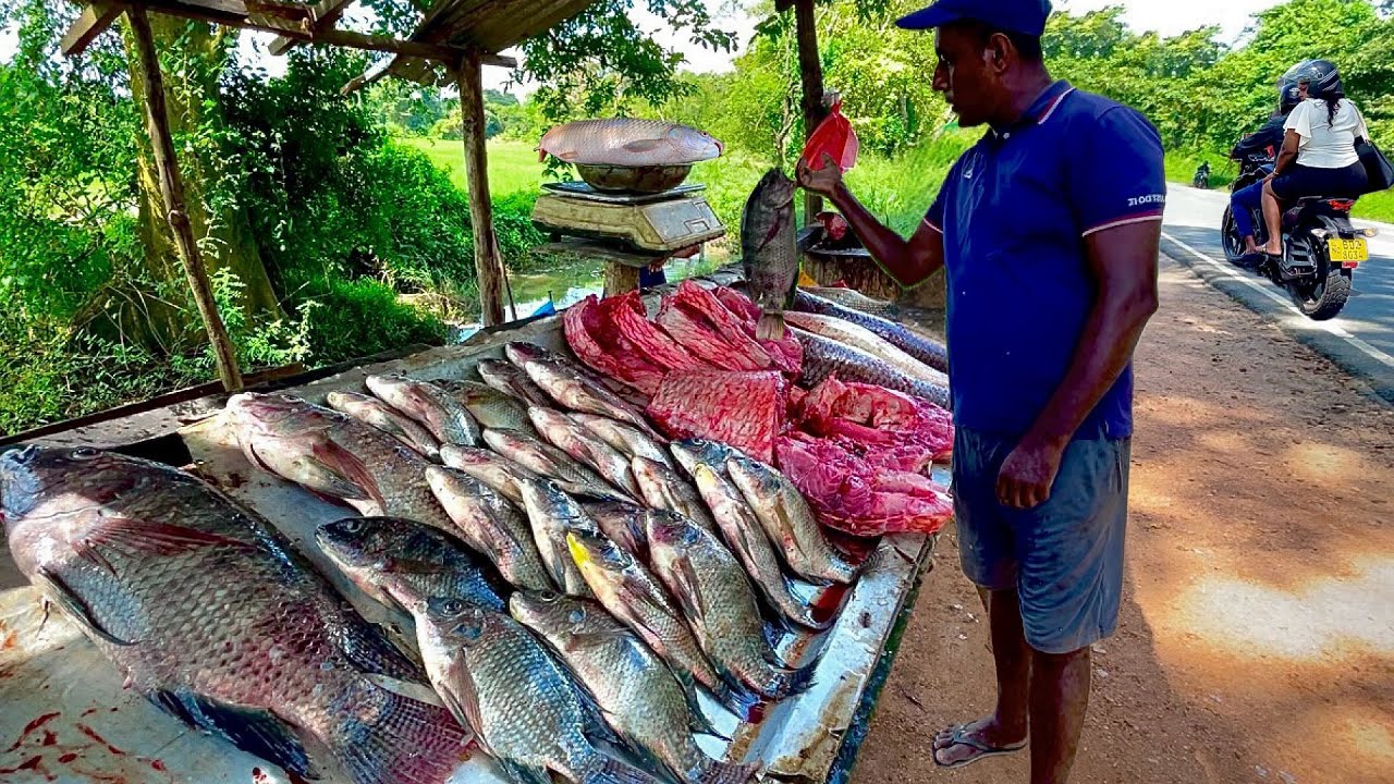 Amazing!! Nature Village Road's BIGGEST Fish Market Secrets Revealed