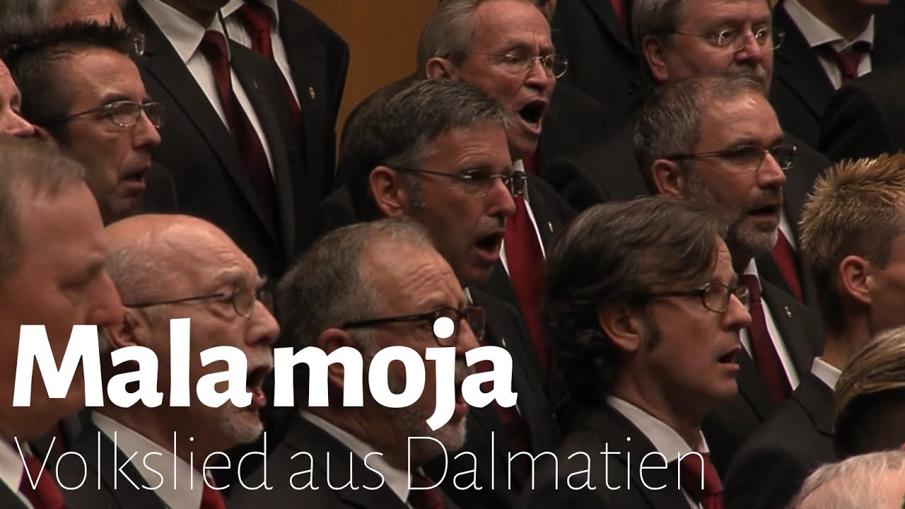 Mala moja | Dalmatian folk song [w English subtitles] Traditional Men's Chorus Male Voice Choir MVC