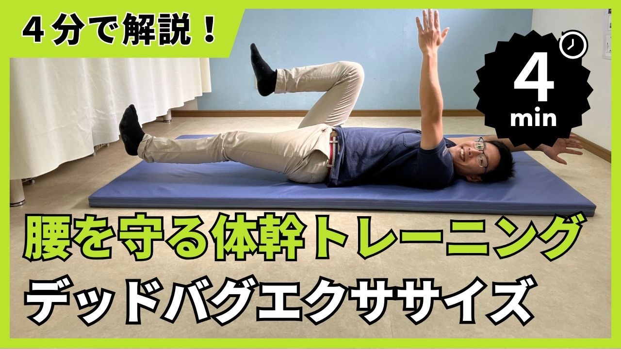 【４分で解説！】腰を守る体幹トレーニング｜デッドバグエクササイズ