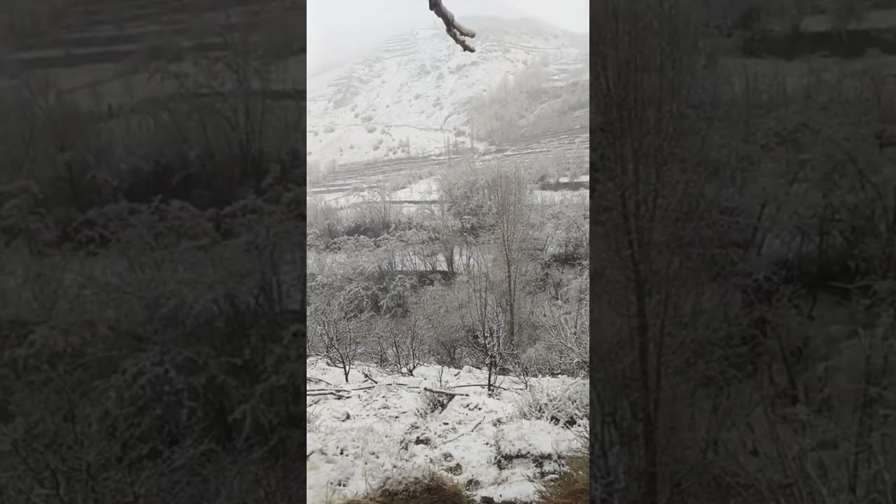 Snowfall starts in my village 