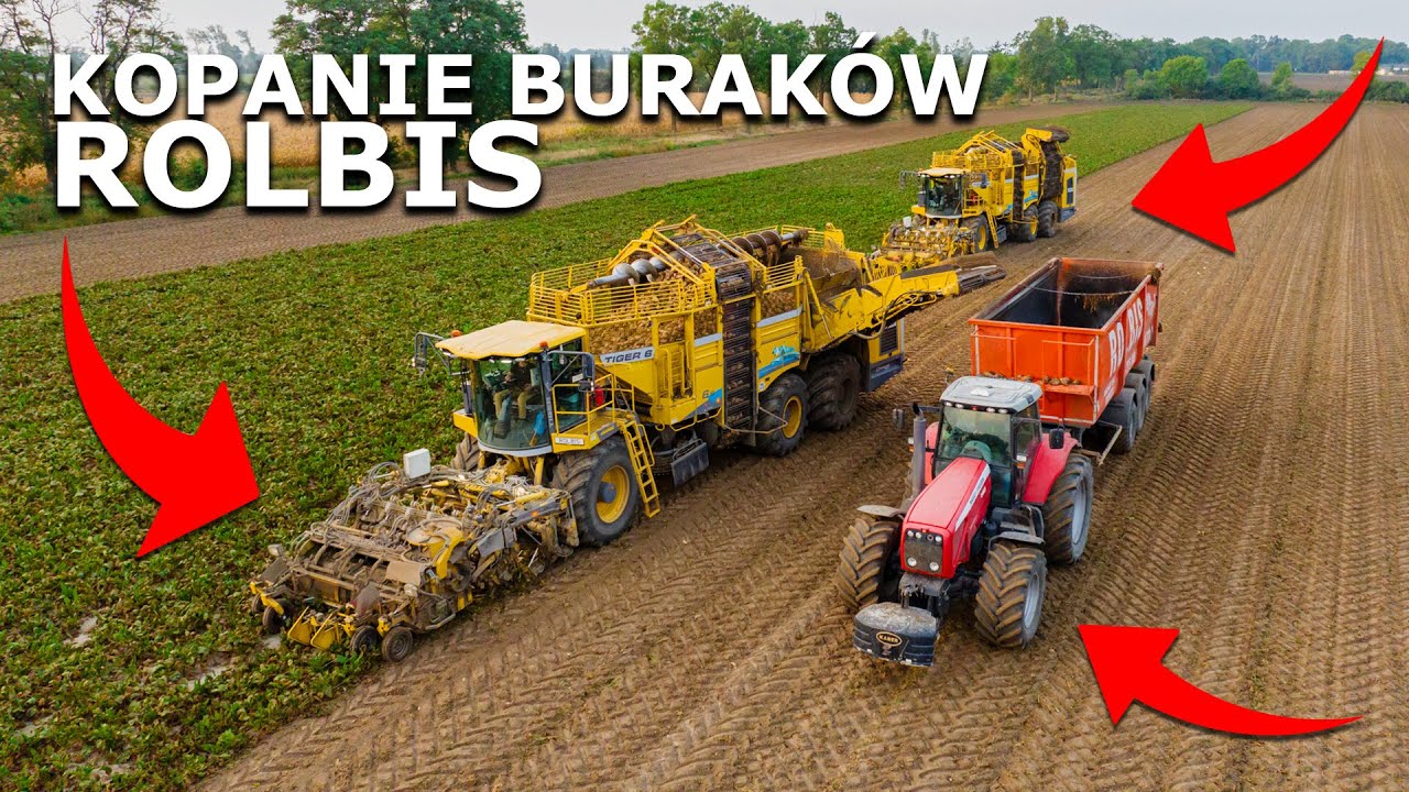 KOPANIE + ODBIÓR BURAKÓW cukrowych z ROLBIS | 3 X ROPA | SEZON 2023