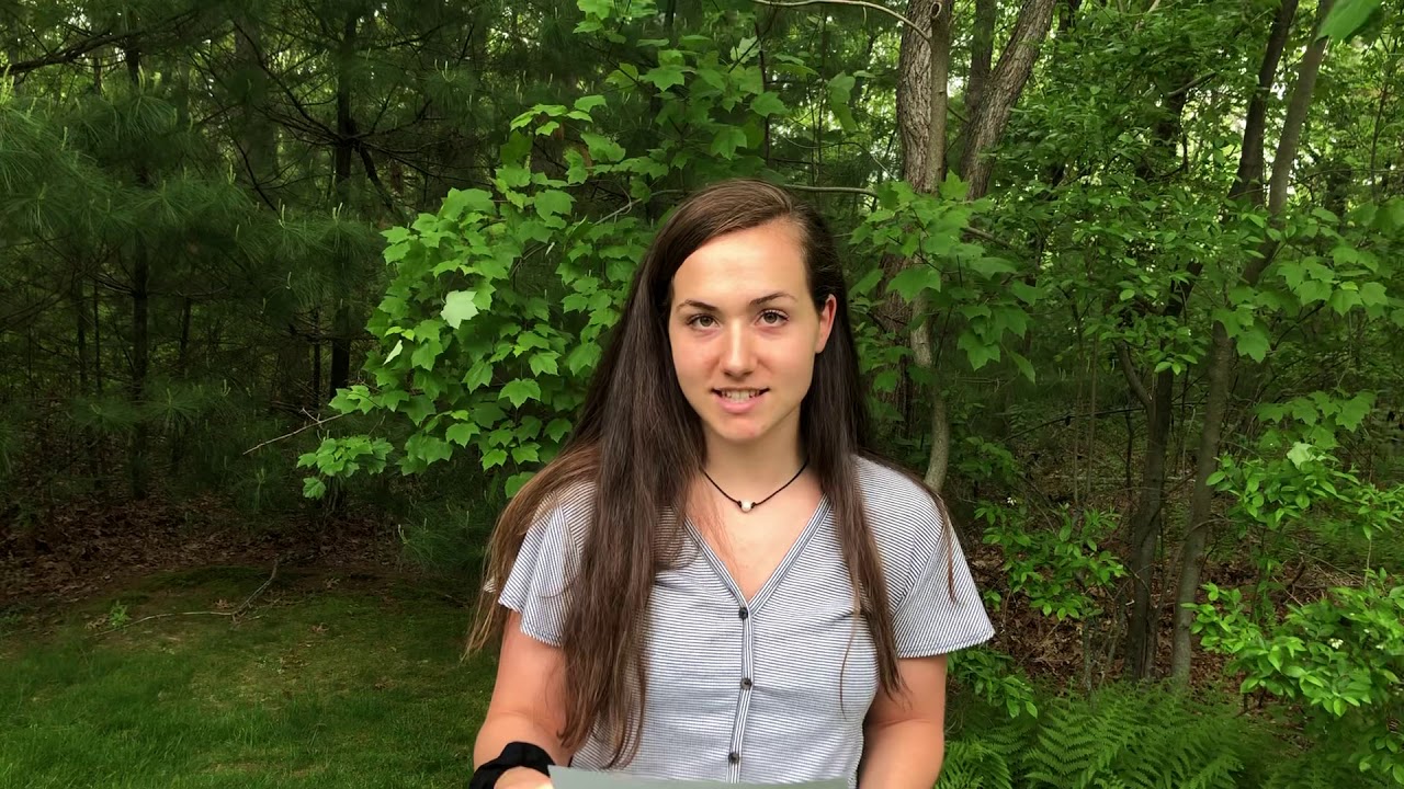 Student Council Election Speech