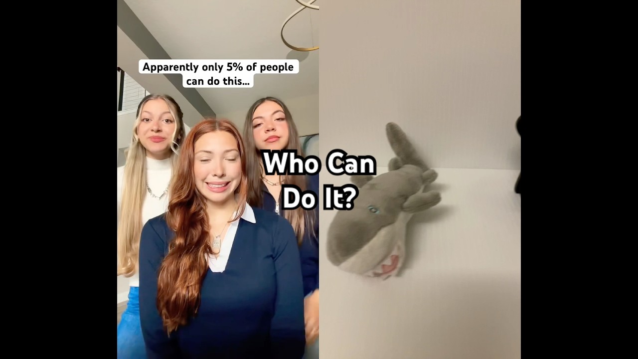 КТО смог это сделать? 🦈🐈&zwj;⬛🐈 #тройнойшарм #коллаборация