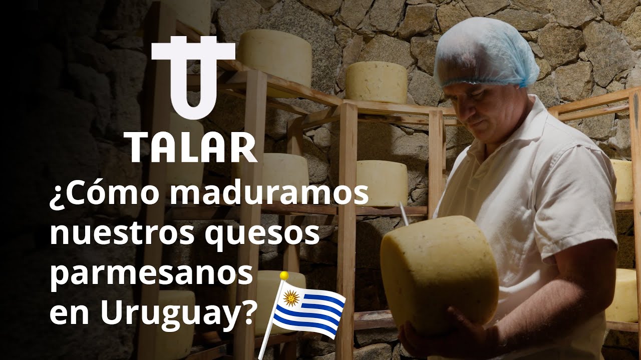 Maduración queso parmesano Talar en Uruguay