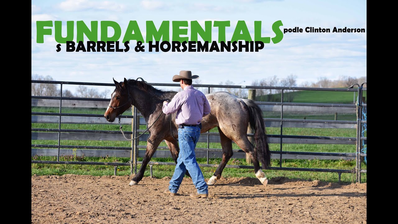 1. cvičení Fundamentals DUH s Barrels & Horsemanship