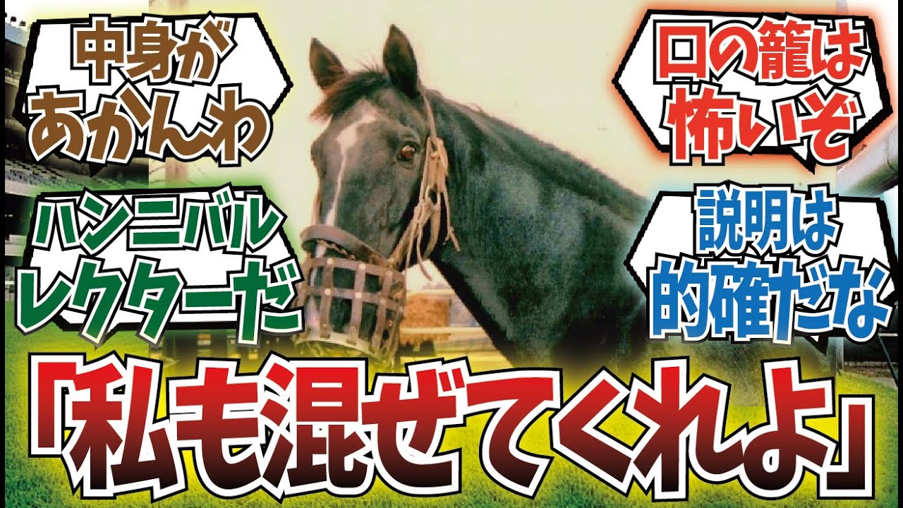 「最近は馬を萌えキャラにする文化が流行してるそうじゃないか」に対するみんなの反応集