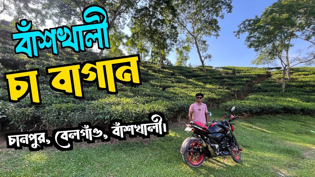 বাঁশখালী চা বাগান | চট্টগ্রামের লুকানো সৌন্দর্য |  Chandpur Belgaon Tea Garden.