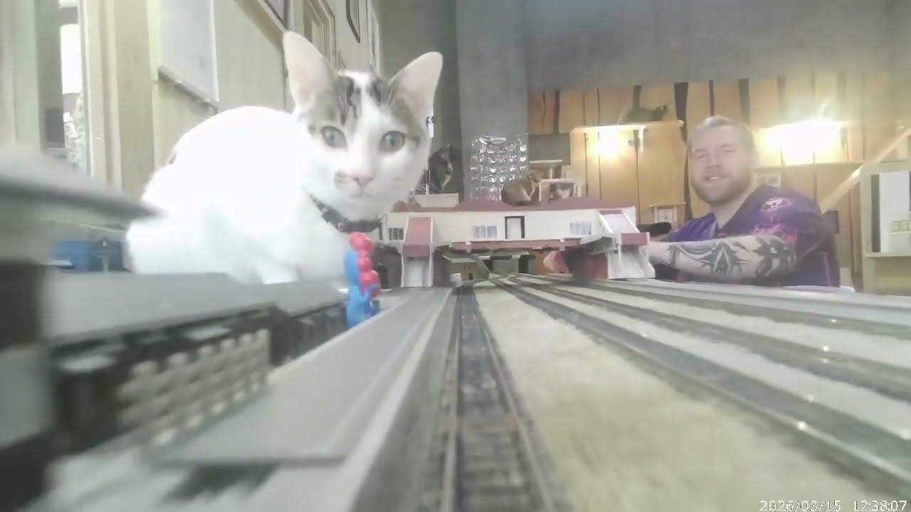 Ritsu's calm demeanor Today, Sunday, was a peaceful day on the Cat Railway.