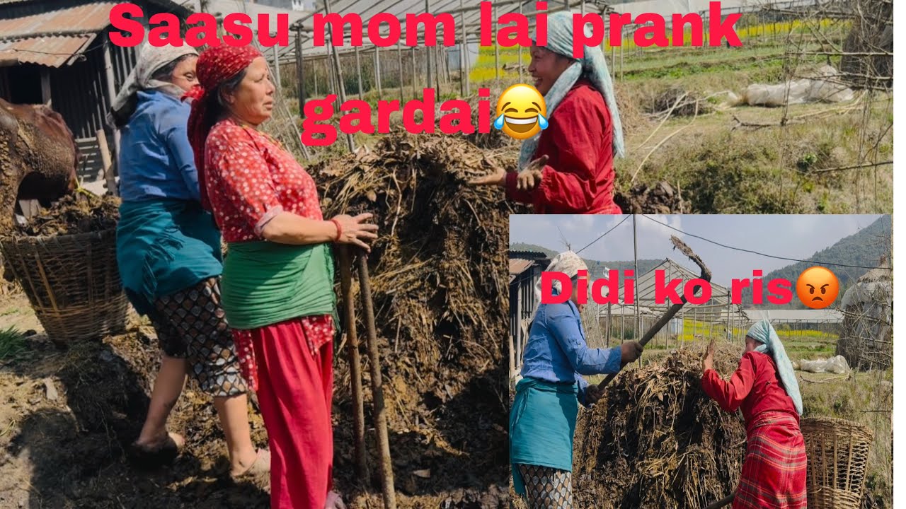 Volg eps-45 mero first  prank😊bichara sassu mom ❤️sojhi hunu pni kam xain 😂