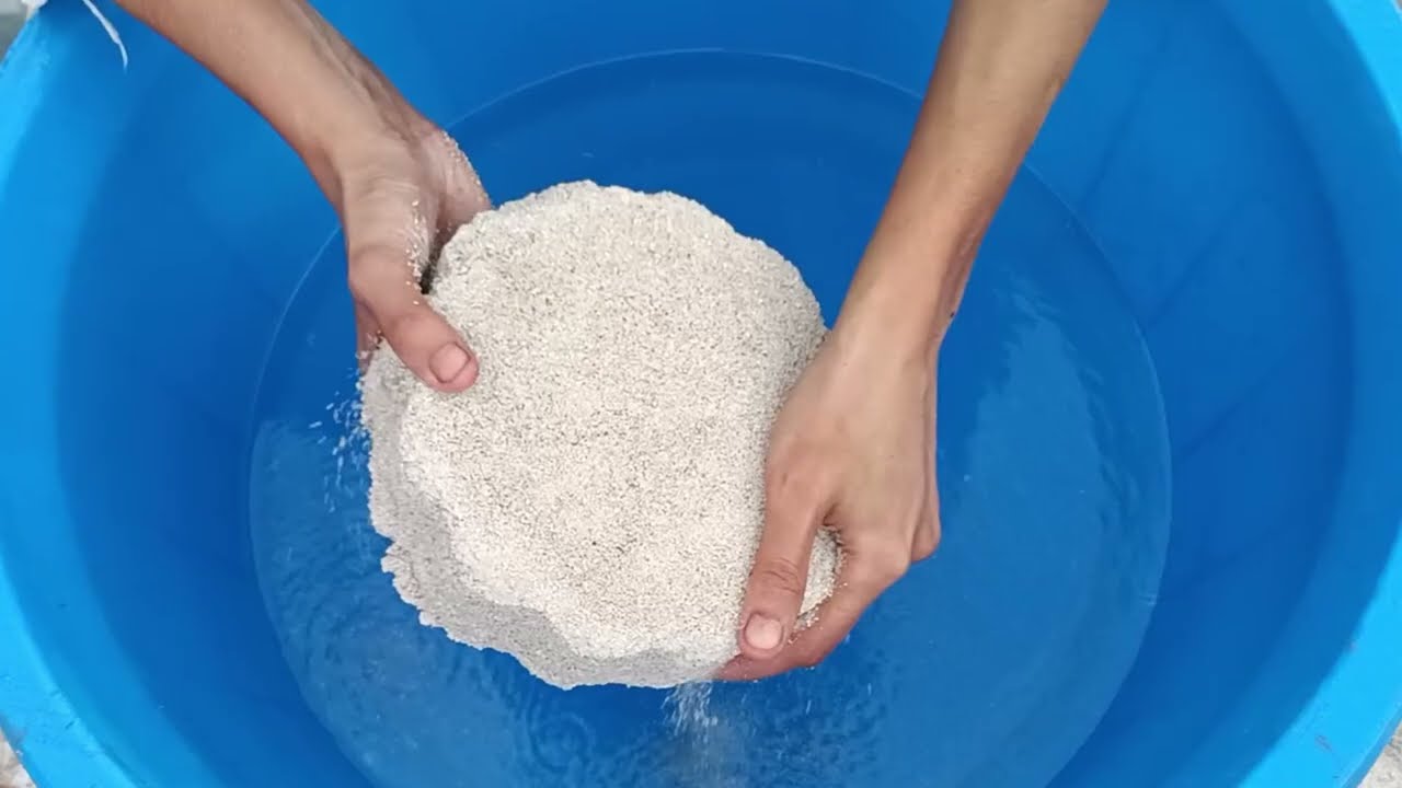 White Grainy Cement flowers crumbling and dipping in lots of water #asmr