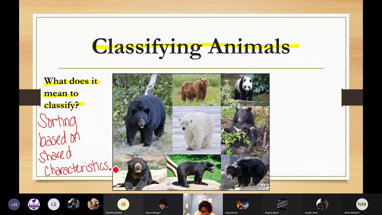 Diggin' Deeper into Taxonomy