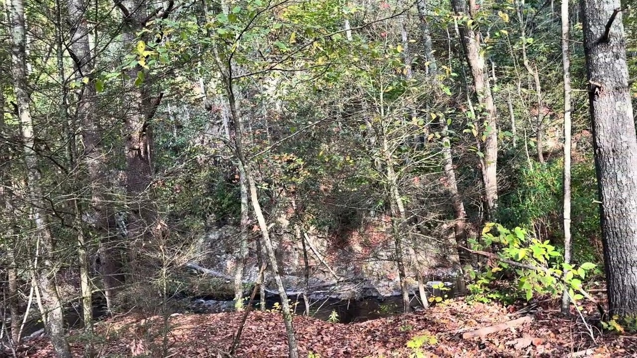 Reflective Ramble on Peace while walking on Creeper Trail