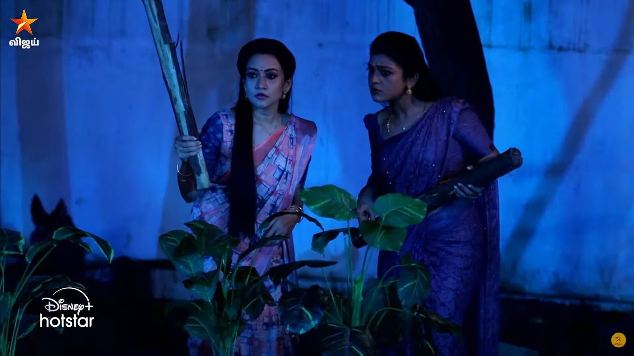 Nee Naan Kaadhal | 29th November 2024 - Promo