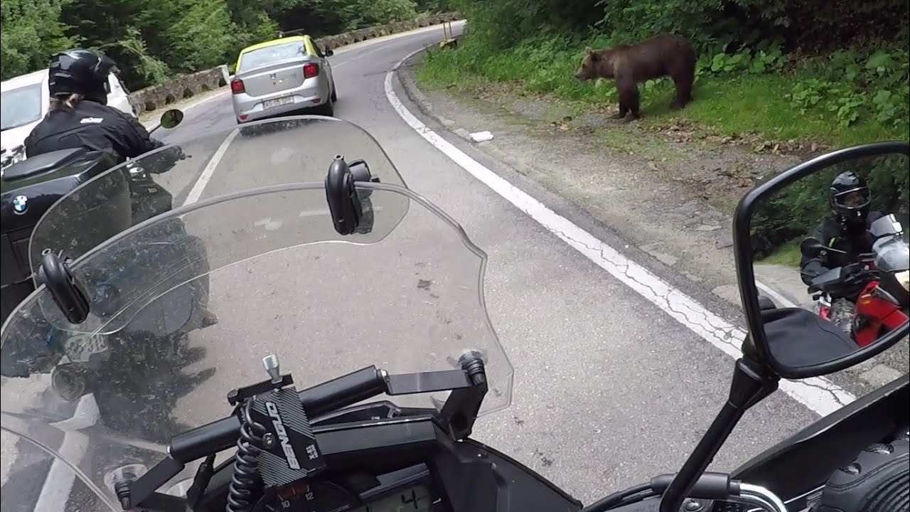 Koju rutu birati za Transalpinu i Transfagarašan? Naš put...