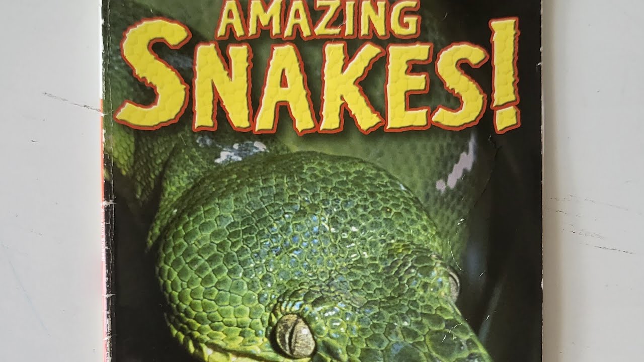 Kids Read Aloud Story Book:#67: Amazing Snakes!