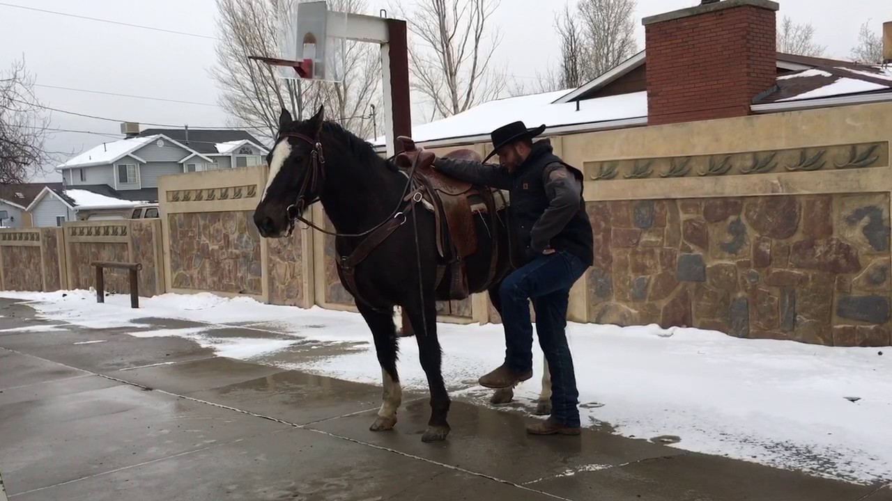 How to train a horse to stop walking off when you mount - J.R. Feland