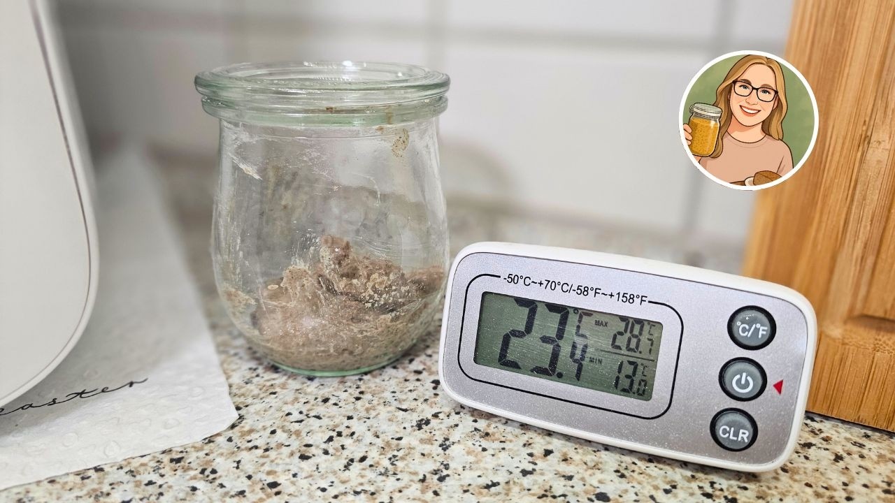 Roggensauerteig perfekt pflegen &ndash; mit dem Sauerteig Home | Temperatur ist entscheidend!