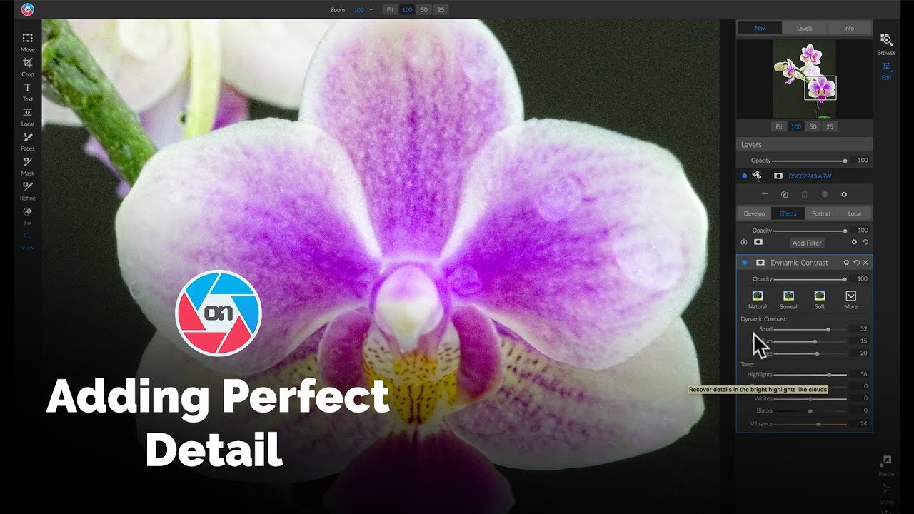 Dynamic Contrast: Adding Perfect Detail to Any Photo - ON1 Photo RAW 2019