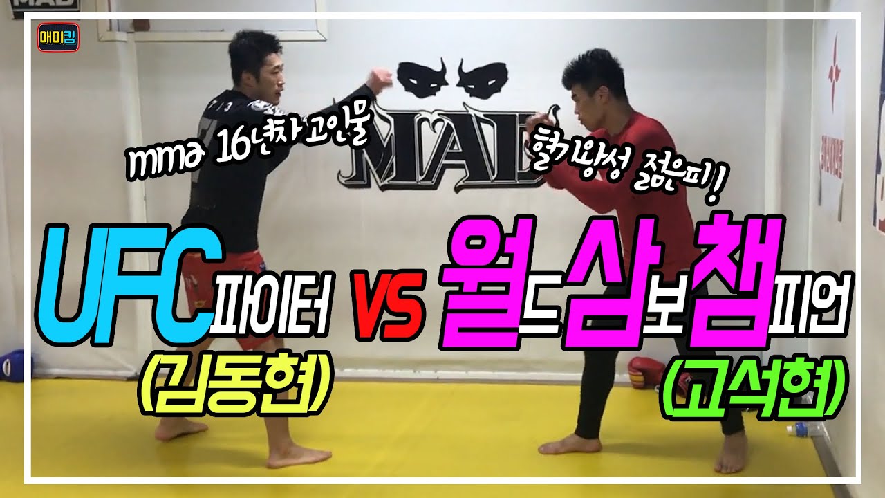 UFC김동현 VS 세계삼보챔피언 MMA 스파링_이게 이렇게 된다고?