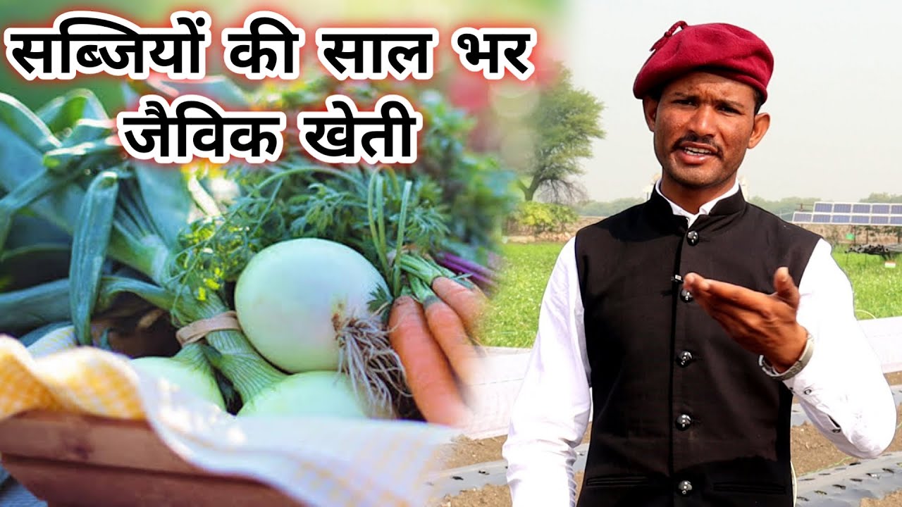 सब्जियों की सालभर जैविक खेती कैसे करें? || sabjiyon ki jaivik kheti kese kare || vegetables farming