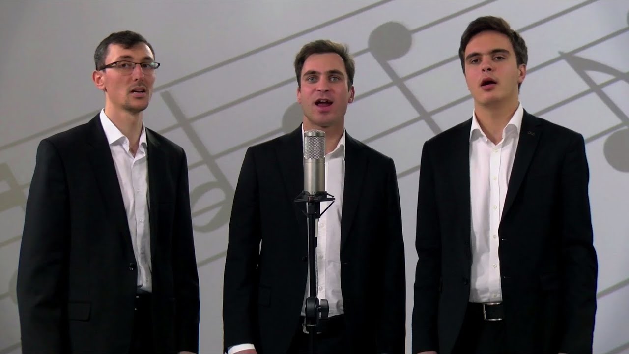 TE-AM ALES  -  Grup Brașov