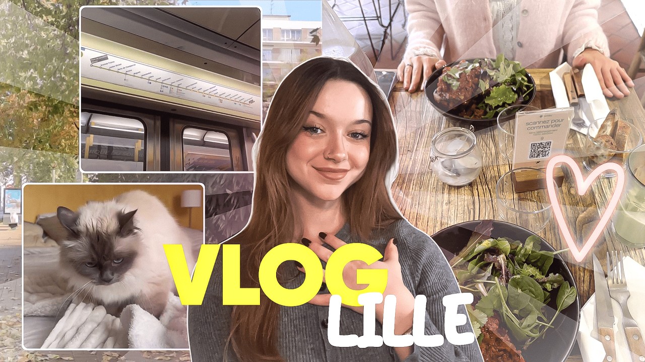 VLOG DE LILLE (shopping, hall, storytime, unboxing...)