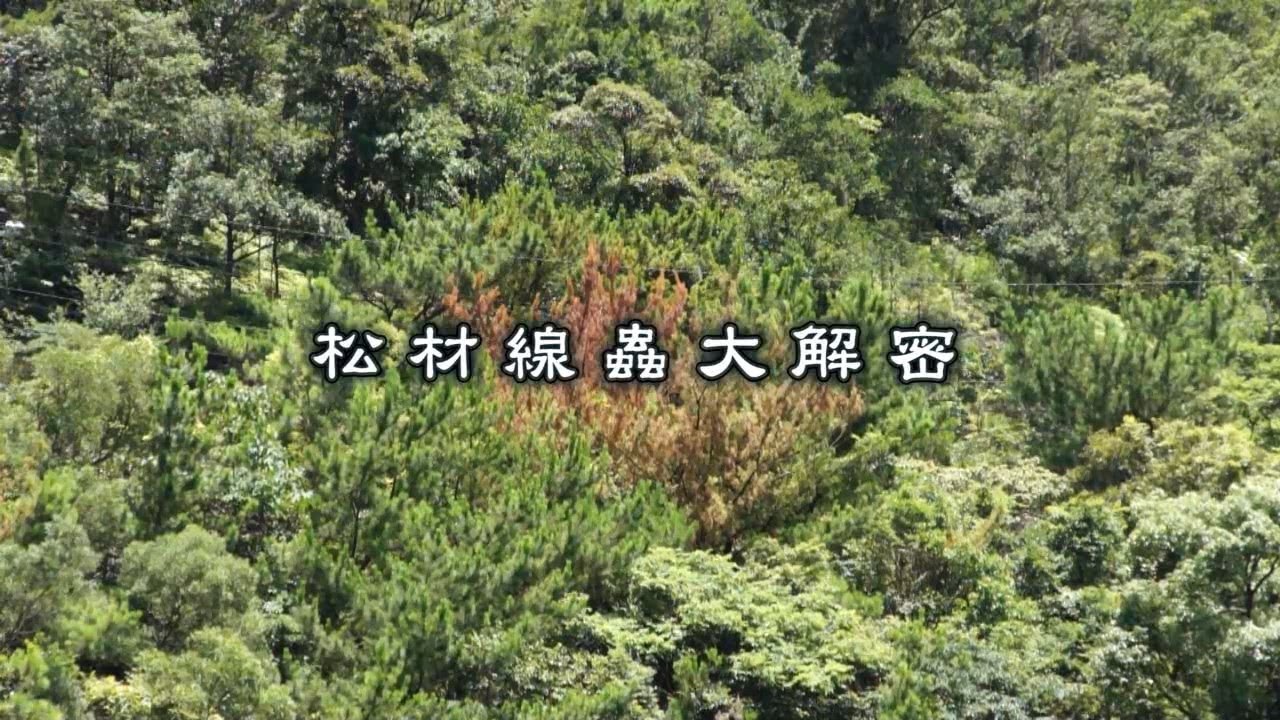 松材線蟲大解密