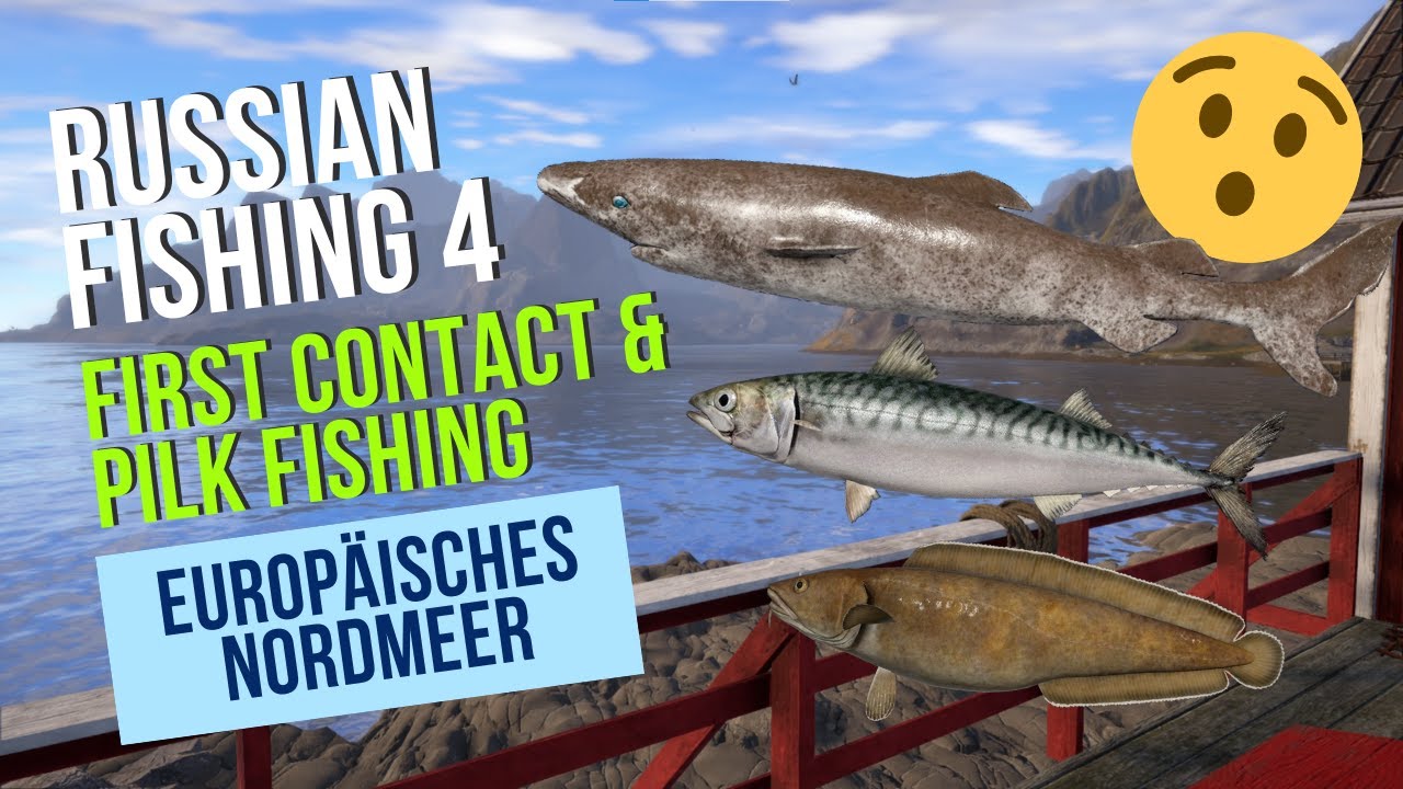Russian Fishing 4  - Pilken am Europäischen Nordmeer | Norwegian See