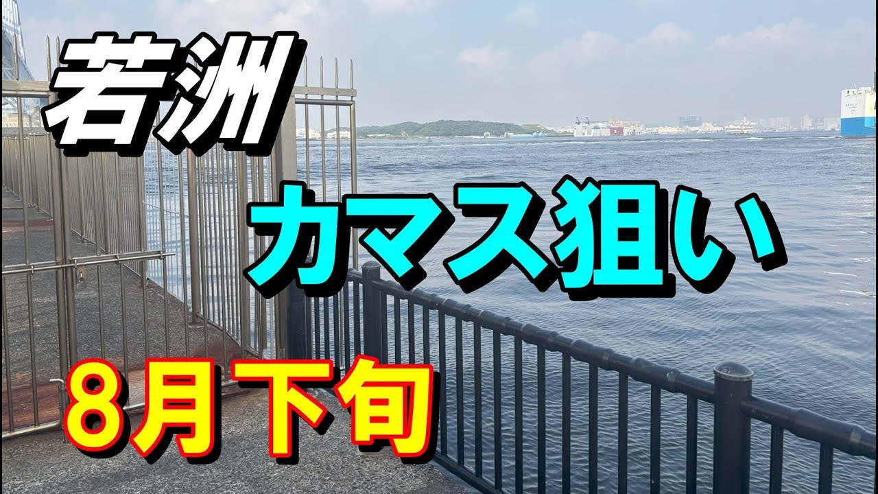 開門30分が勝負　若洲海浜公園カマス　２回釣行　東京湾奥