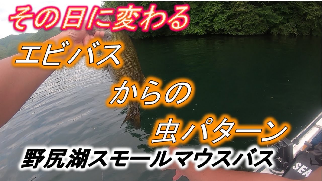 その日に変わる　エビバスからの虫パターン　野尻湖スモールマウスバス