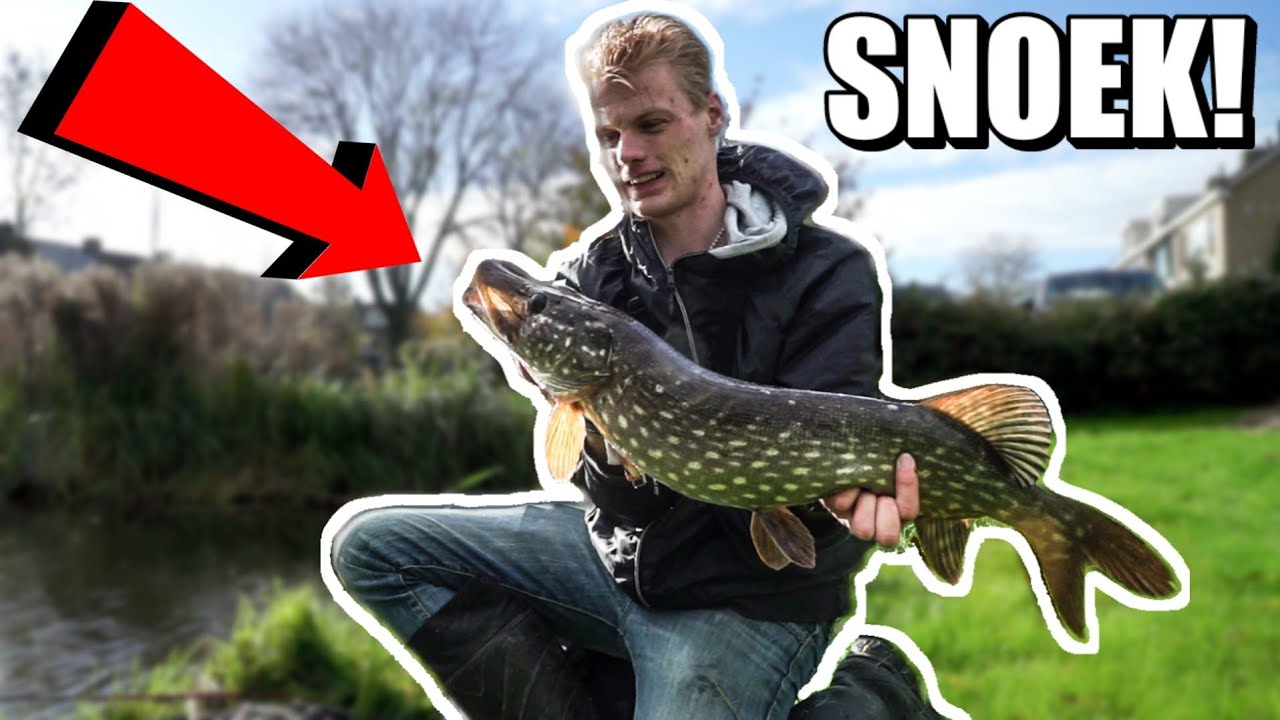 SNOEKVISSEN met Kunstaas in WOERDEN! | VEEL ACTIE!