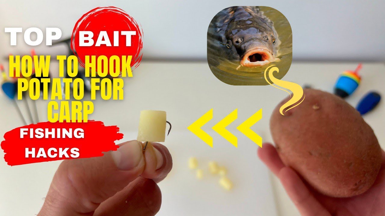 CARP FISHING HACKS! THE BEST WAYS HOW TO HOOK POTATO!