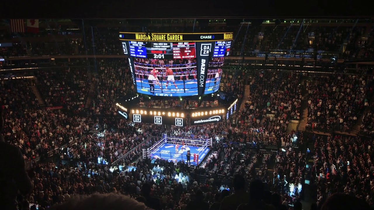 Anthony Joshua v Andy Ruiz Jr - Round 3 crowd reactions