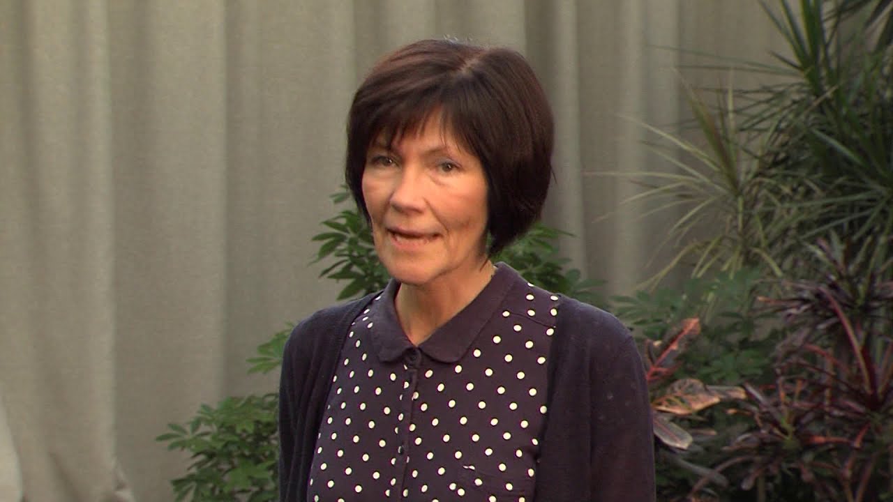 Ilona Aasvere - LAUPÄEVA ÕHTUL